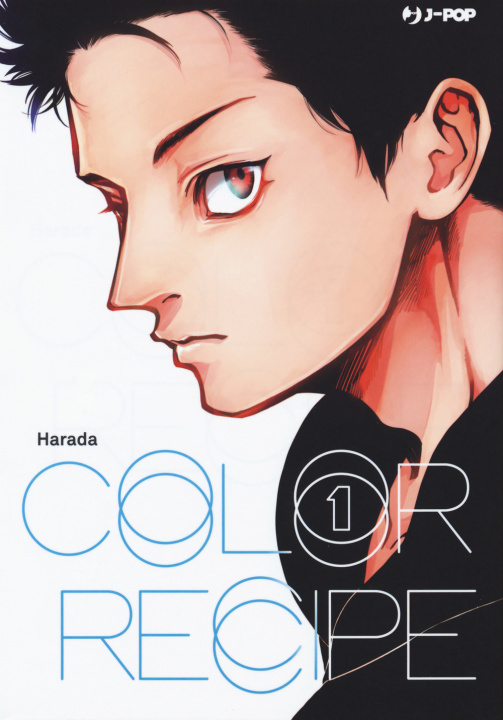 Kniha Color recipe Harada