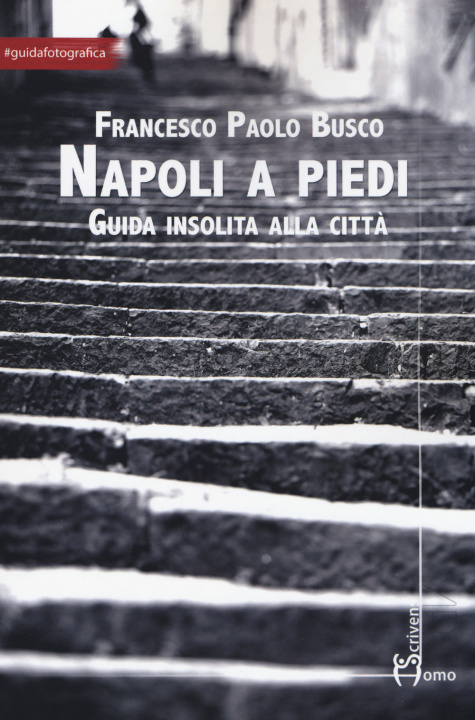 Könyv Napoli a piedi. Guida insolita alla città Francesco Paolo Busco