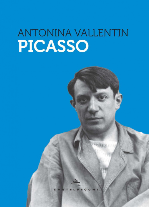 Könyv Picasso Antonina Vallentin