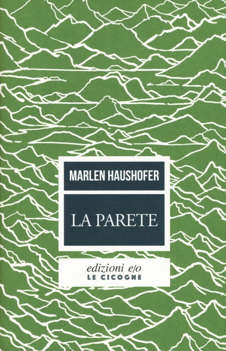 Kniha parete Marlen Haushofer
