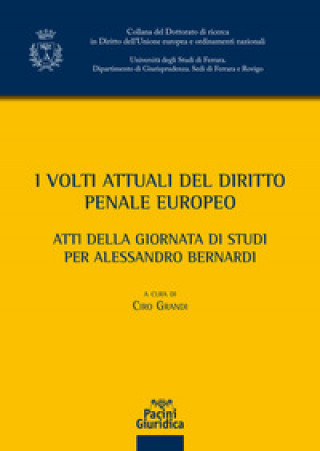 Buch Volti attuali del diritto penale europeo 