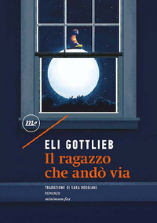 Boek ragazzo che andò via Eli Gottlieb