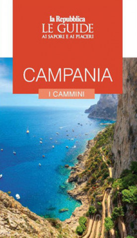 Könyv Campania. I cammini. Le guide ai sapori e ai piaceri 