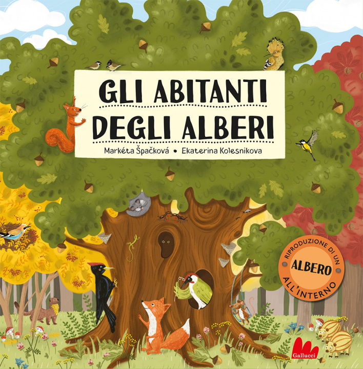 Boek abitanti degli alberi Marketa Spackova