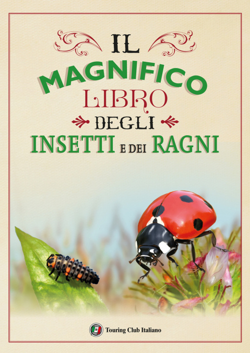 Carte magnifico libro degli insetti e dei ragni 
