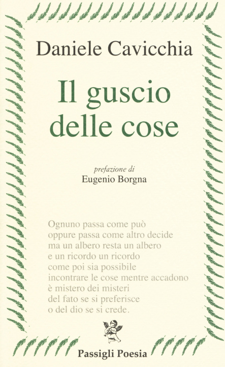 Kniha guscio delle cose Daniele Cavicchia