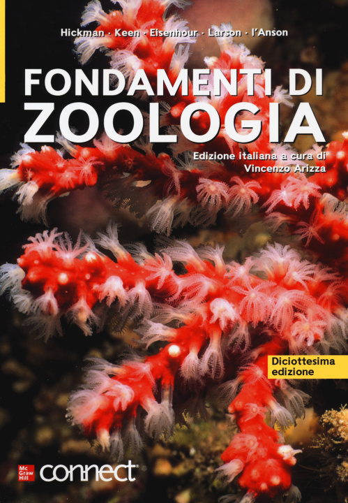 Kniha Fondamenti di zoologia 