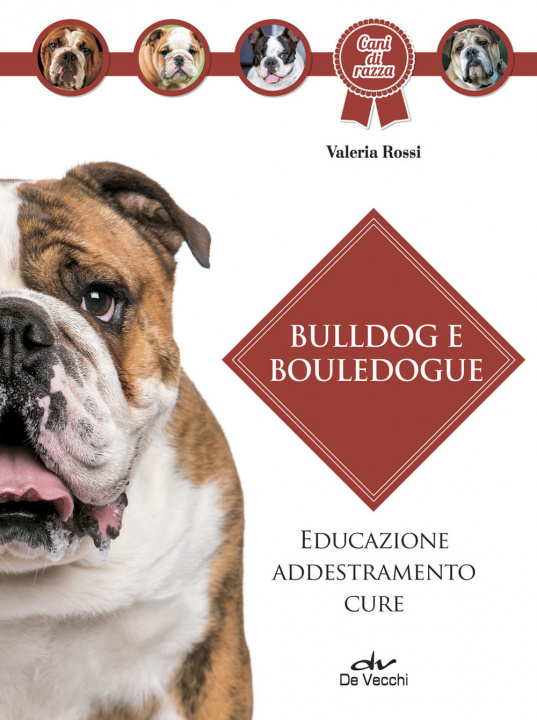 Livre Bulldog e bouledogue. Educazione, addestramento, cure Valeria Rossi