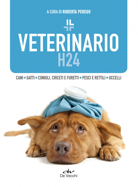 Carte veterinario h24 