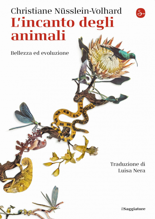 Kniha incanto degli animali. Bellezza ed evoluzione Christiane Nüsslein Volhard