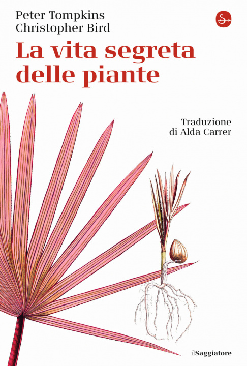 Kniha vita segreta delle piante Peter Tompkins