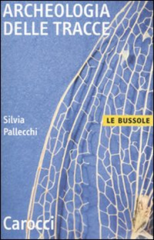 Kniha Archeologia delle tracce Silvia Pallecchi