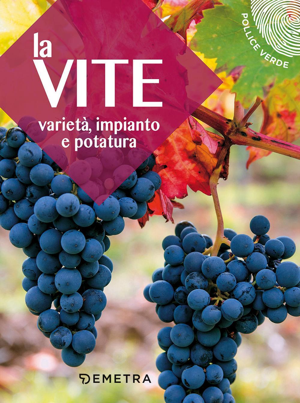 Buch vite. Varietà, impianto e potatura 