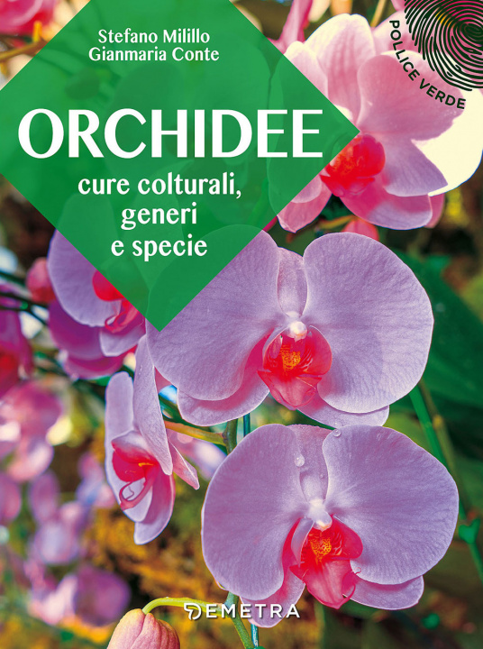 Libro Orchidee. Cure colturali, generi e specie Stefano Milillo