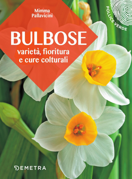 Kniha Bulbose. Varietà, fioritura e cure colturali Mimma Pallavicini