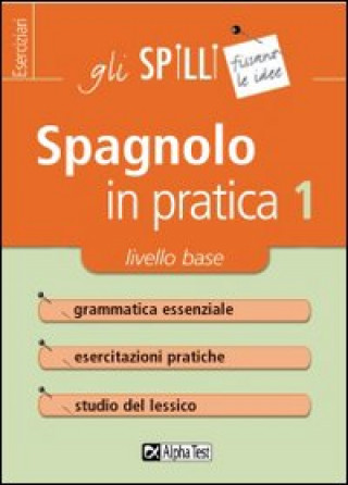 Könyv Spagnolo in pratica Annalee Alviani