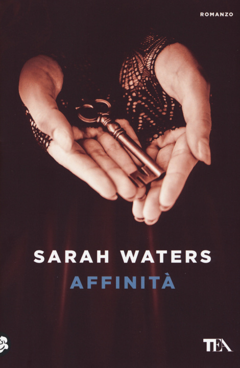 Knjiga Affinità Sarah Waters