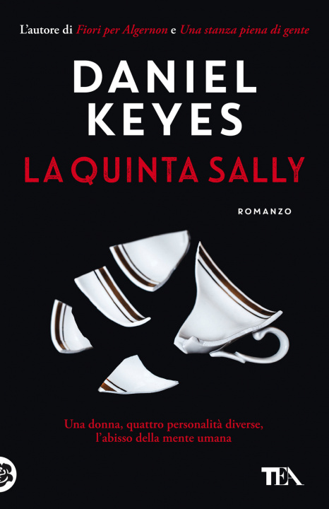 Kniha quinta Sally Daniel Keyes