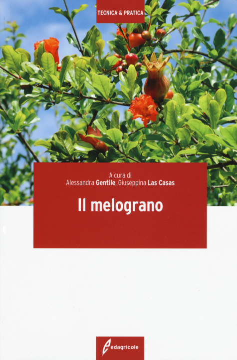 Livro melograno 