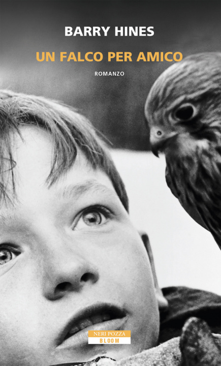 Kniha falco per amico Barry Hines