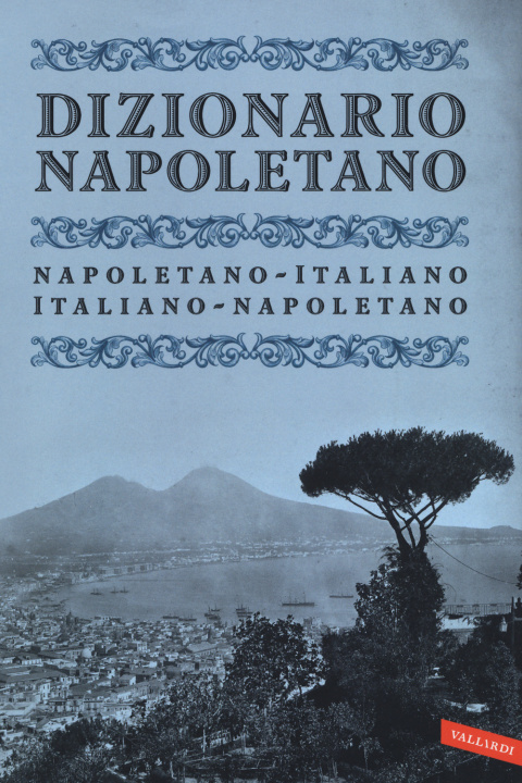 Kniha Dizionario napoletano 