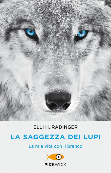 Kniha saggezza dei lupi. La mia vita con il branco Elli H. Radinger