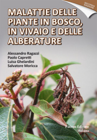Kniha Malattie delle piante in bosco, in vivaio e delle alberature Alessandro Ragazzi