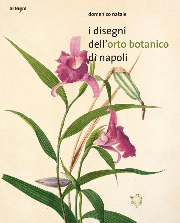 Carte disegni dell'orto botanico di Napoli Domenico Natale