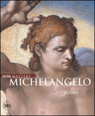 Libro Michelangelo pittore 