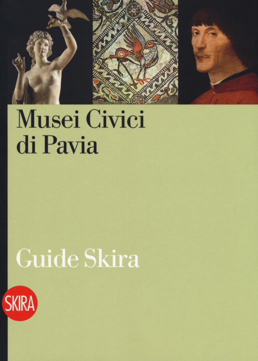 Könyv Musei civici di Pavia Musei civici di Pavia