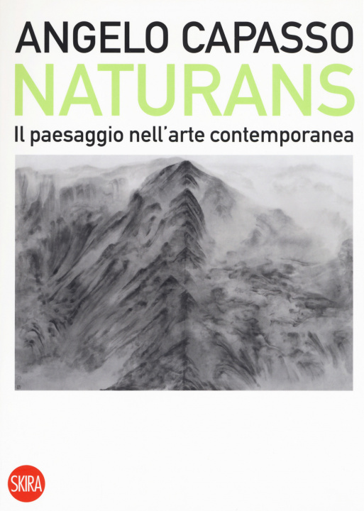 Könyv Naturans. Il paesaggio nell'arte contemporanea Angelo Capasso