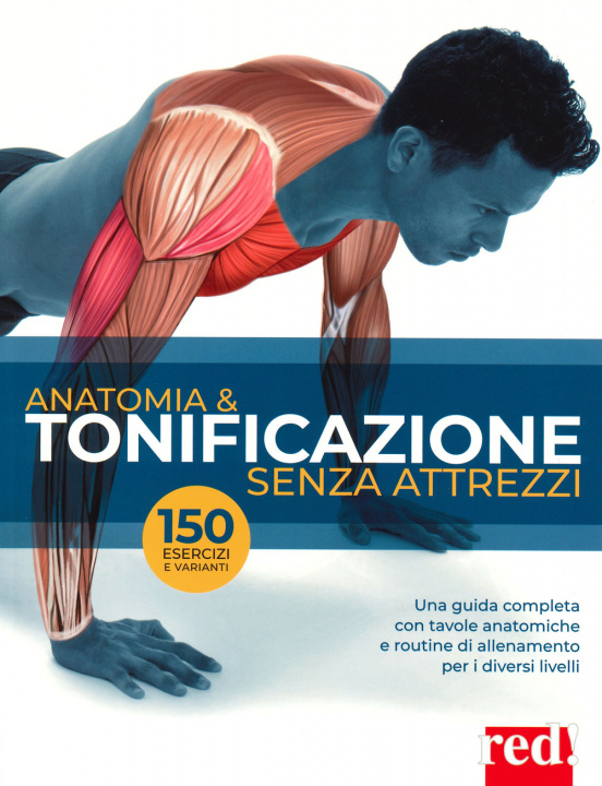 Kniha Anatomia & tonificazione senza attrezzi Guillermo Seijas