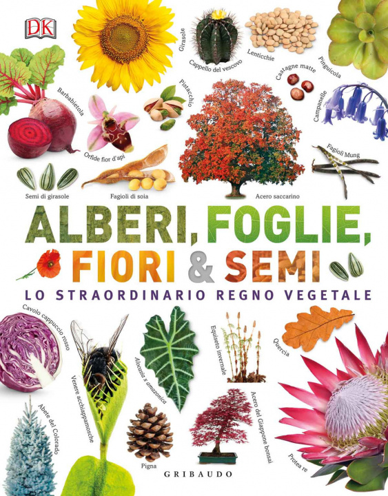 Kniha Alberi, foglie, fiori & semi. Lo straordinario regno vegetale 