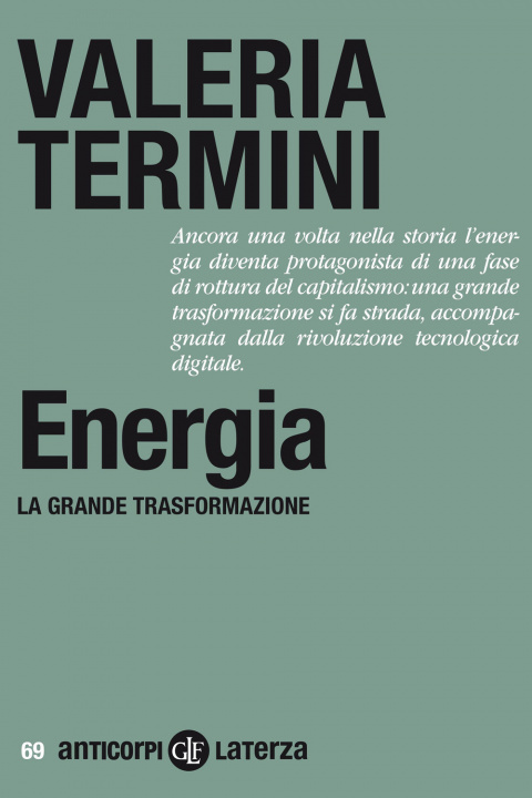 Könyv Energia. La grande trasformazione Valeria Termini