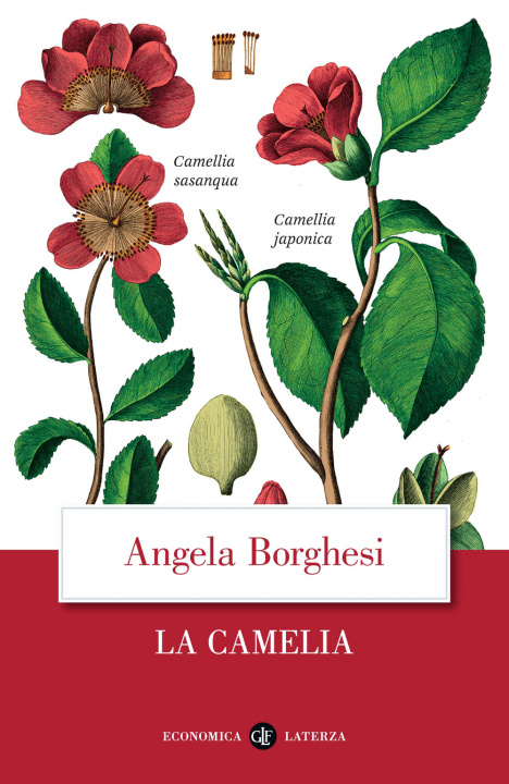 Kniha camelia Angela Borghesi