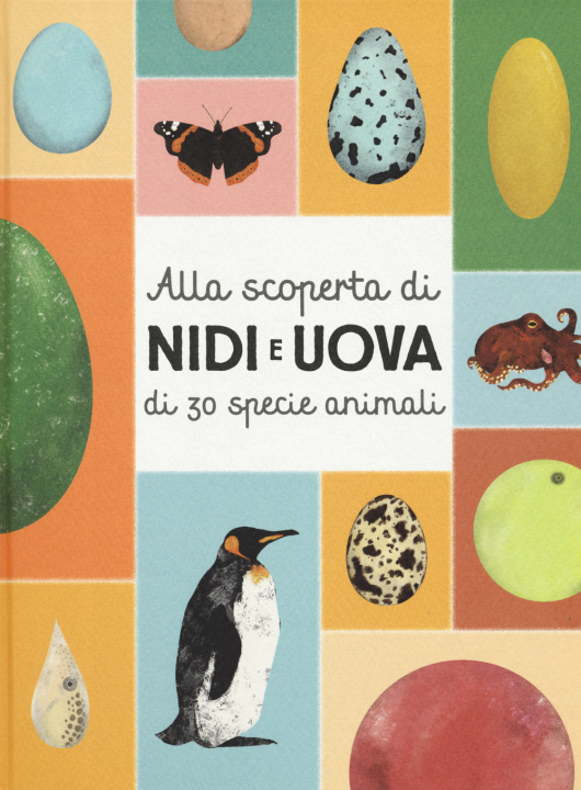 Kniha Alla scoperta di nidi e uova di 30 specie animali Markéta Nováková