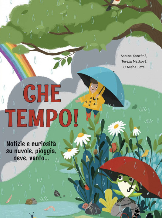 Buch Che tempo! Notizie e curiosità su nuvole, pioggia, neve, vento... Sabina Konecná