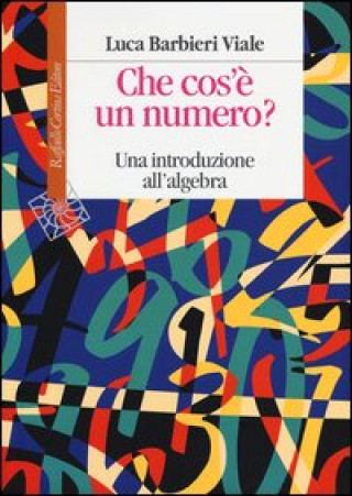 Kniha Che cos'è un numero. Un'introduzione all'algebra Luca Barbieri Viale