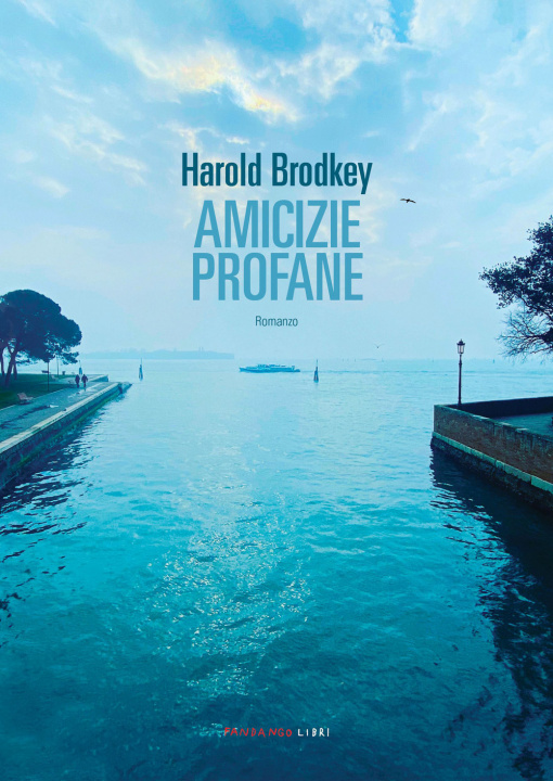 Buch Amicizie profane Harold Brodkey