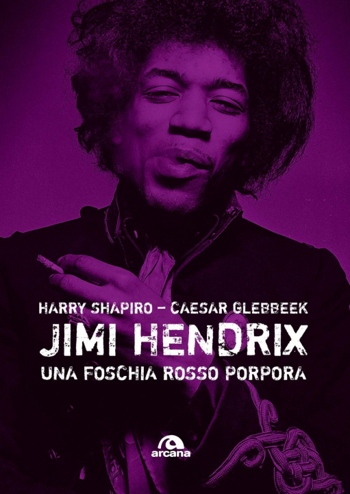 Kniha Jimi Hendrix. Una foschia rosso porpora Harry Shapiro