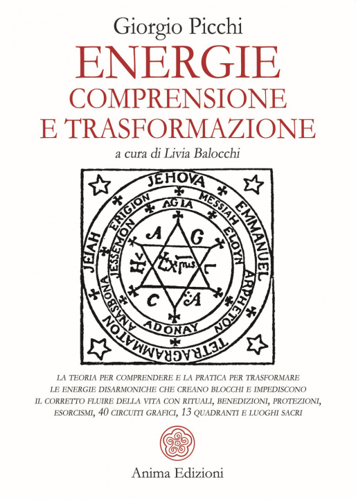 Kniha Energie. Comprensione e trasformazione Giorgio Picchi