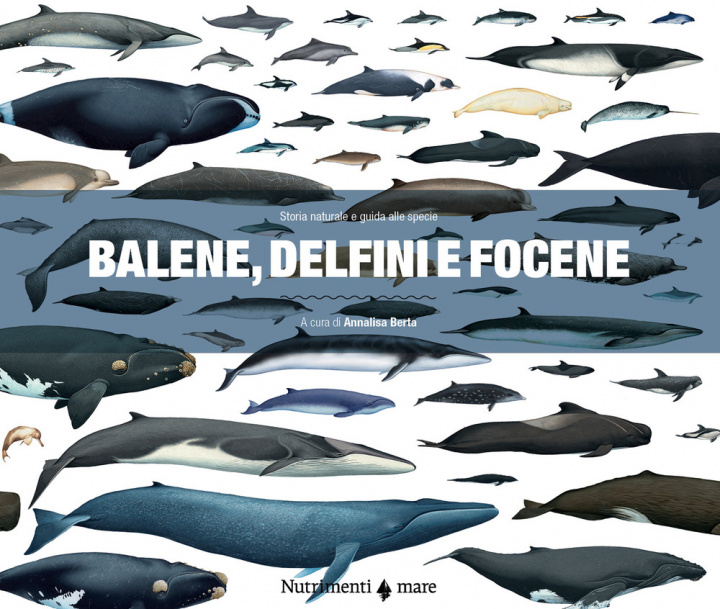 Книга Balene, delfini e focene. Storia naturale e guida alle specie 