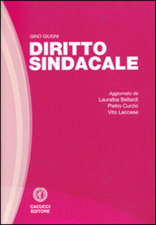 Kniha Diritto sindacale Gino Giugni