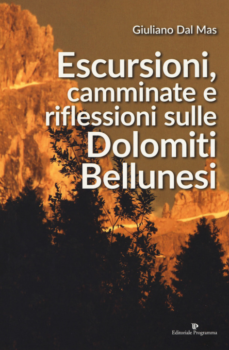 Könyv Escursioni, camminate e riflessioni sulle Dolomiti bellunesi Giuliano Dal Mas