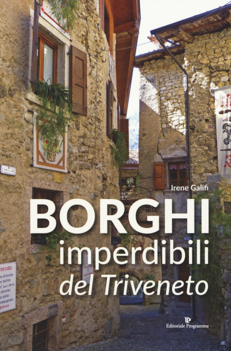 Könyv Borghi imperdibili del Triveneto Irene Galifi