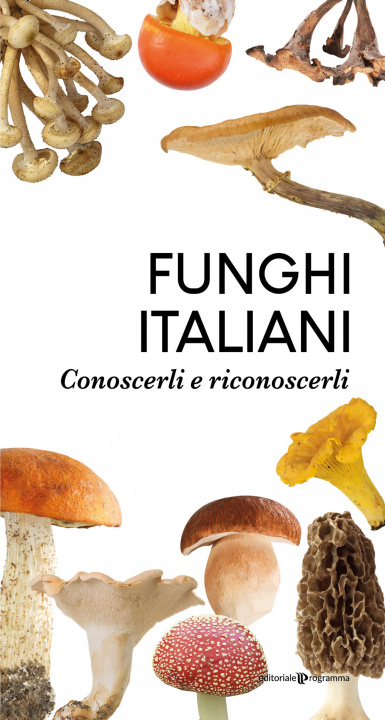 Könyv Funghi italiani. Conoscerli e riconoscerli 