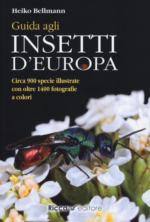 Kniha Guida agli insetti d'Europa Heiko Bellmann