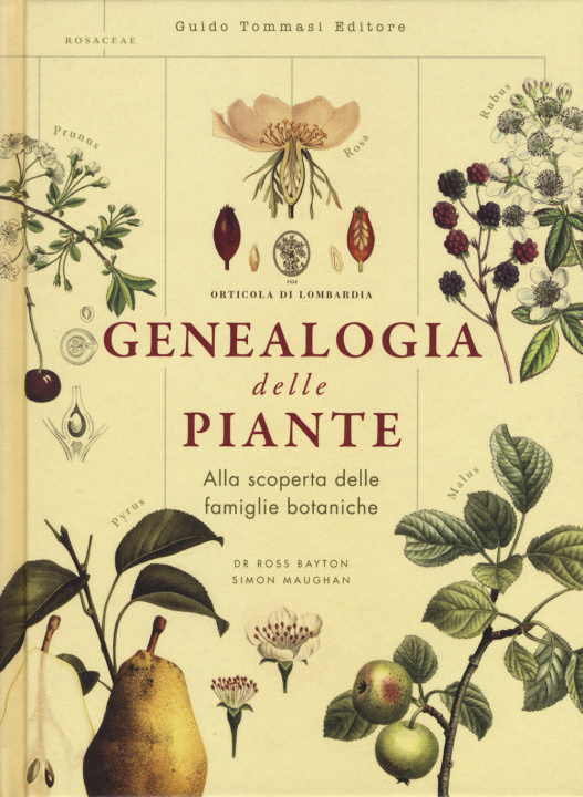 Kniha Genealogia delle piante Ross Bayton