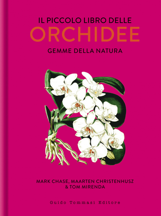 Kniha piccolo libro delle orchidee. Gemme della natura Mark W. Chase