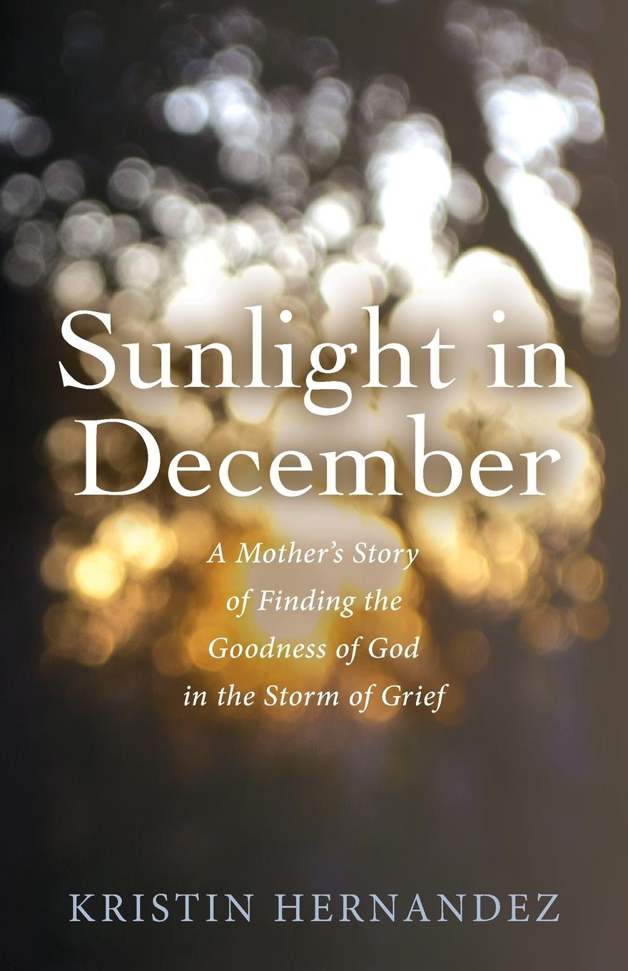 Knjiga Sunlight in December Kristin Hernandez